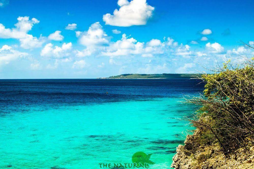 Aparthotel Bandabou Breeze Curacao Willibrordus Zewnętrze zdjęcie